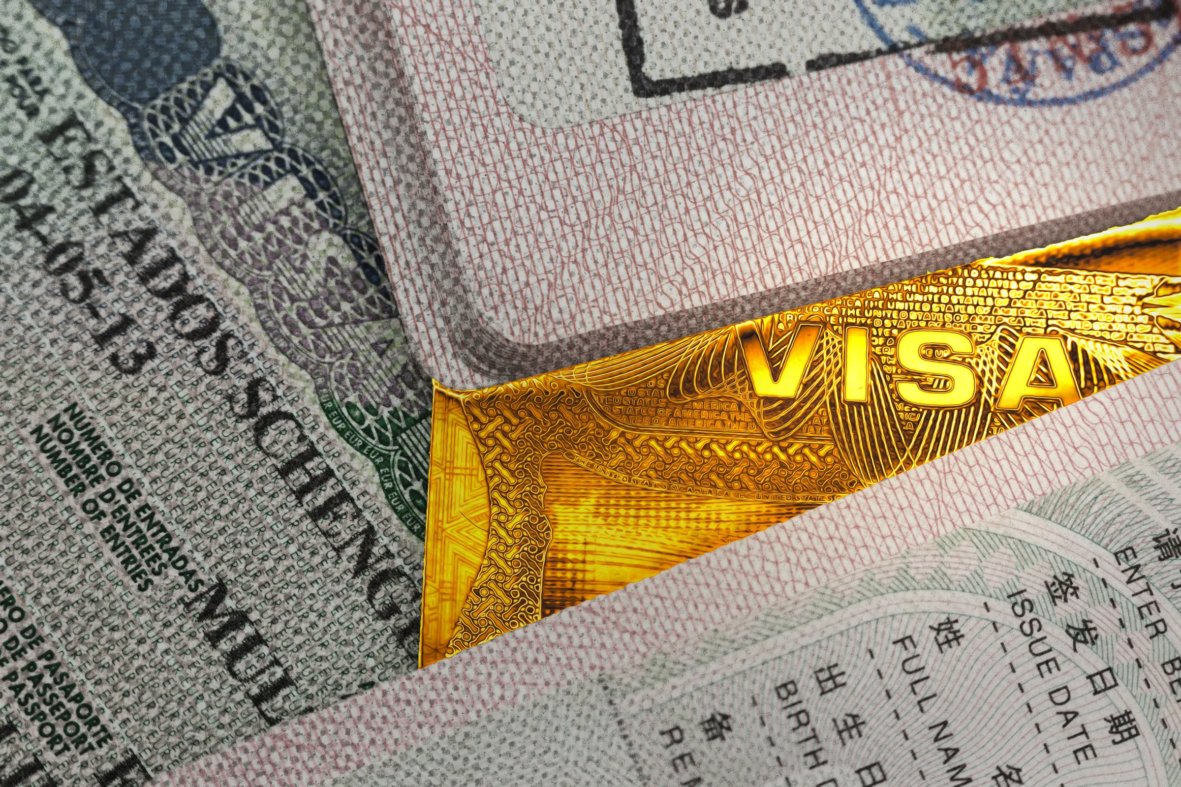 The Immigration Magazine