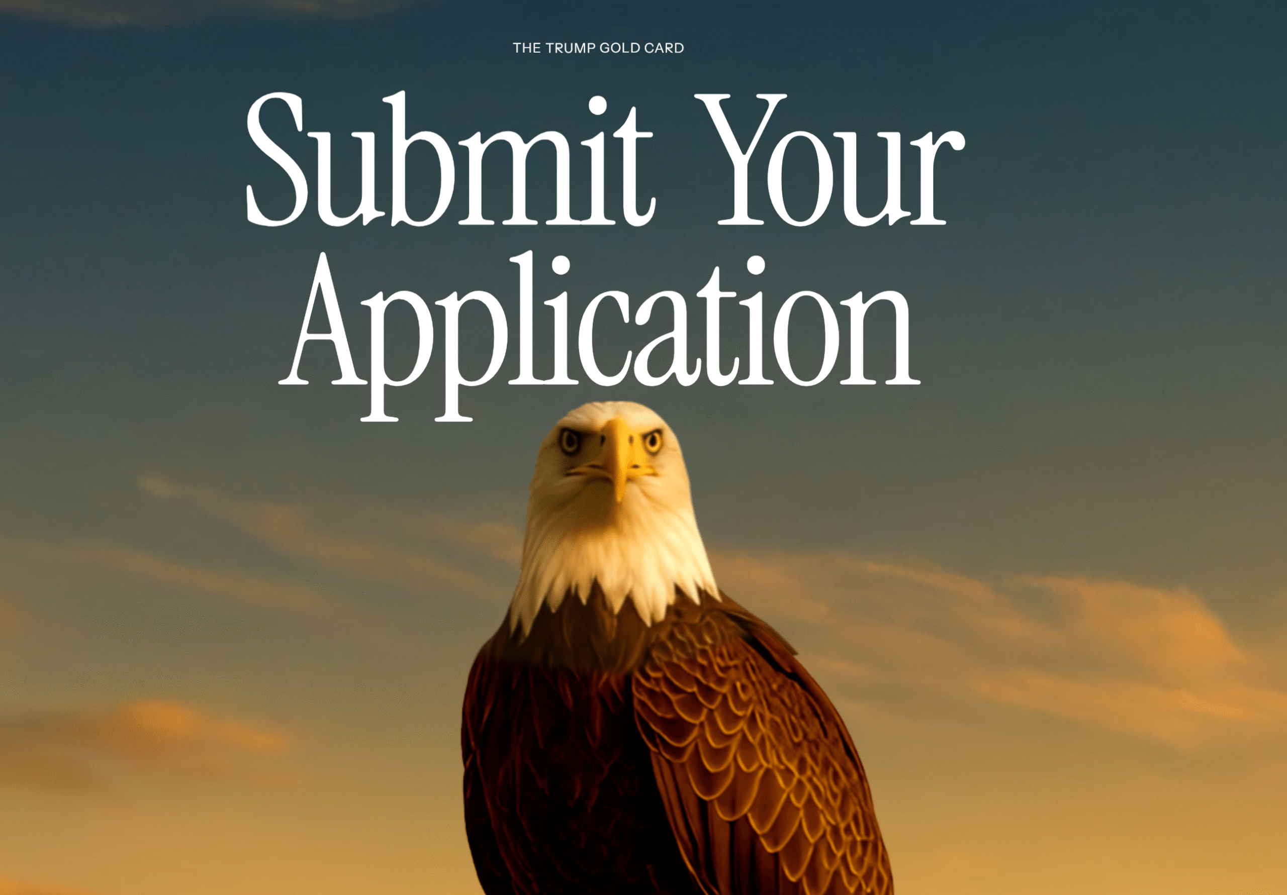 The Immigration Magazine