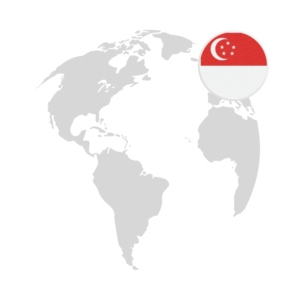 Singapore Global Investor Program