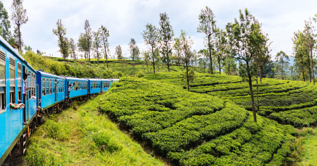 Sri Lanka digital nomad visa