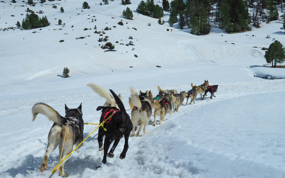 Andorra passive residency 2026