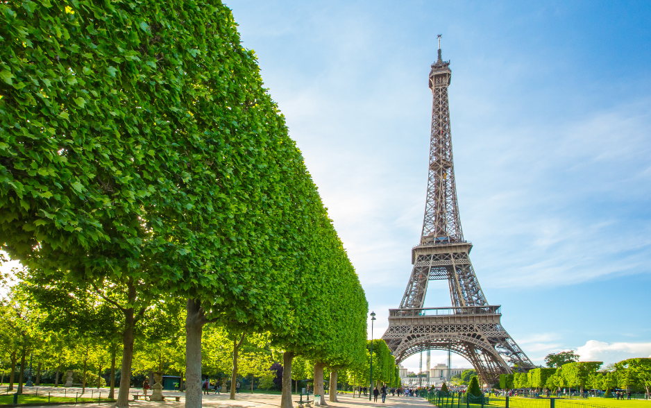 French Tax Terms Explained