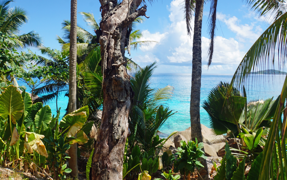 São Tomé and Príncipe CBI 2026 updates