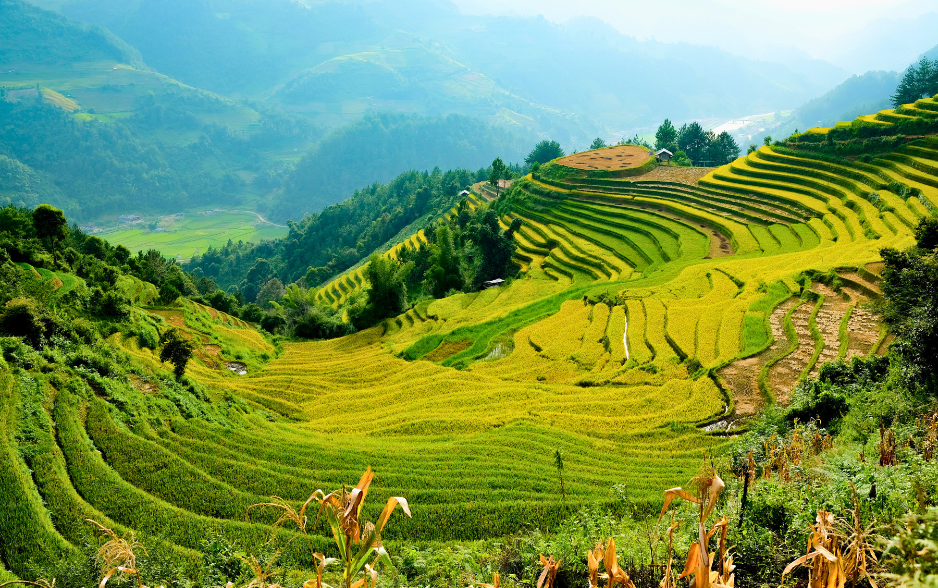 Top high growth sectors Vietnam 2026