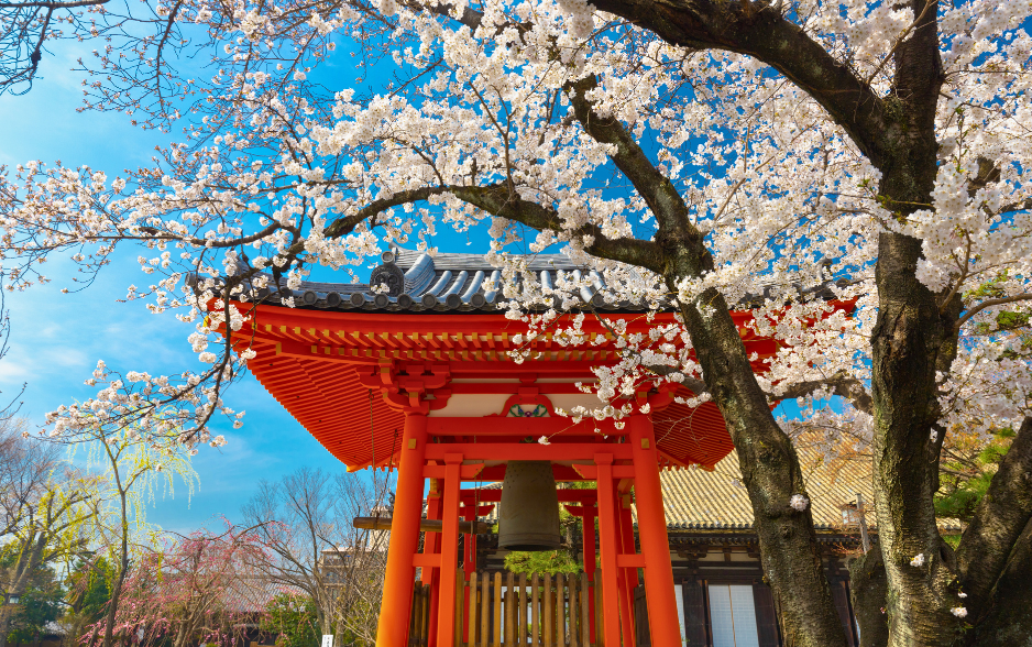 Japan Business Manager Visa 2026